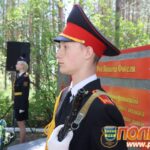 поле-Фогеля[1]
