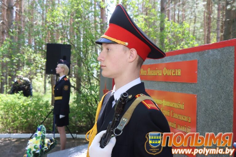 поле-Фогеля[1]